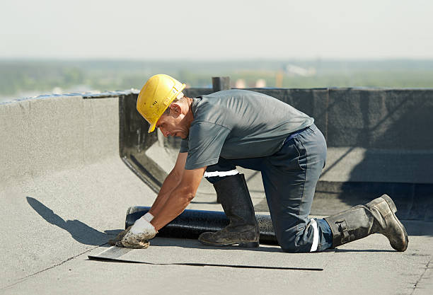 Best Insulation Maintenance and Repair in Dade City North, FL