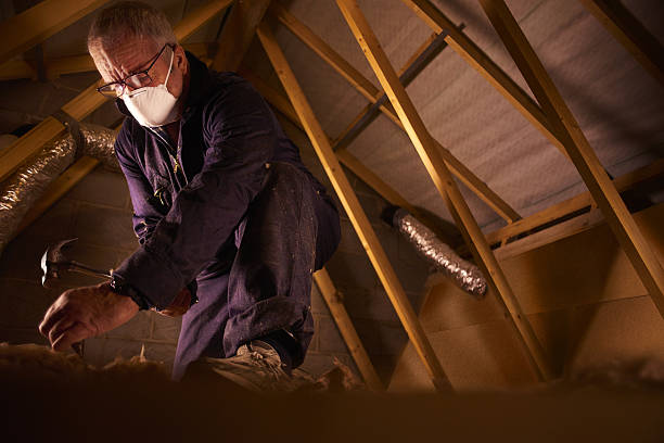 Best Types of Insulation in Dade City North, FL